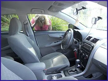 Downtown RI Locksmith Store Downtown, RI 401-304-9030